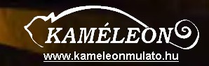 Kam�leon Club
